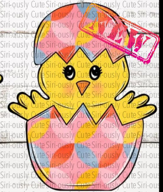 Chick In Egg - Round Sublimation Transfer