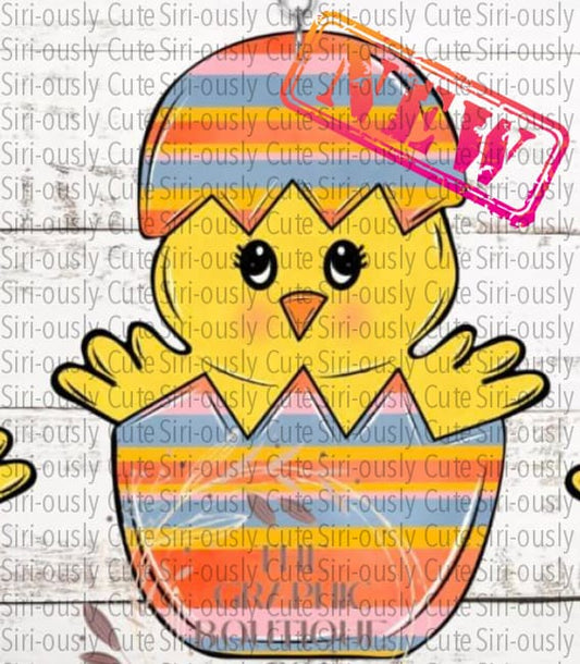 Chick In Egg - Stripes Sublimation Transfer