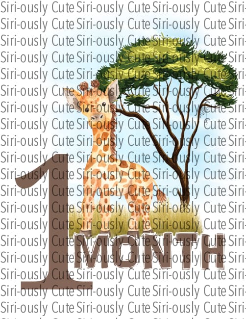1 Month - Safari Birthday