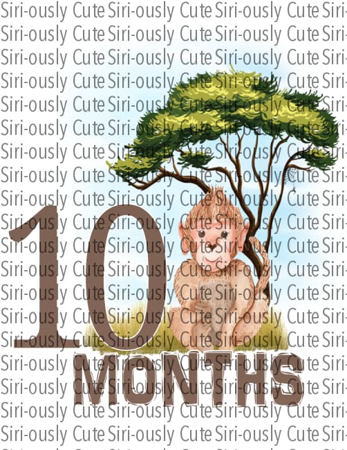 10 Months - Safari Birthday