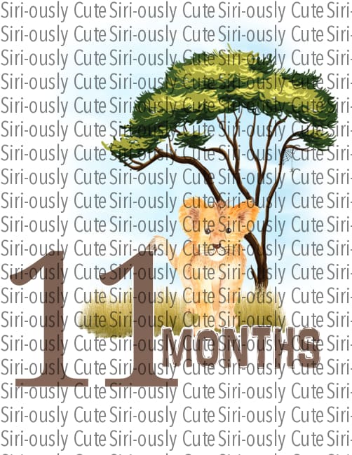 11 Months - Safari Birthday