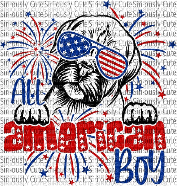 All American Boy - Boxer