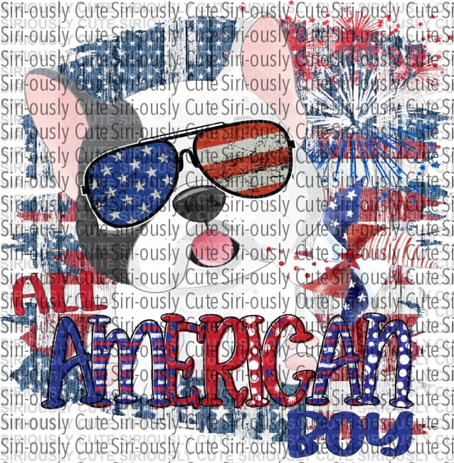 All American Boy - French Bulldog