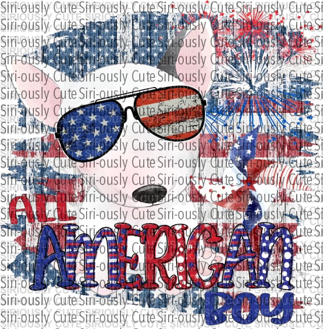 All American Boy - Spuds