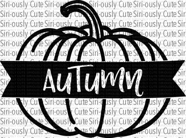 Autumn Pumpkin 2