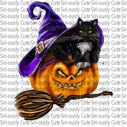 Black Cat With Purple Witch Hat And Pumpkin