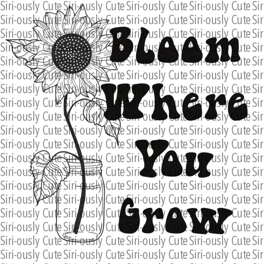 Bloom Where You Grow - Sunflower Black