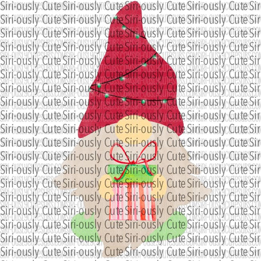 Gnome With Present And Red Cap