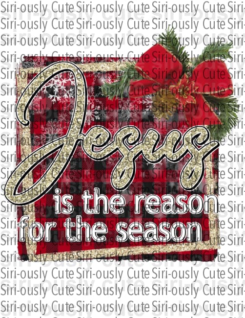 Jesus Is The Reason For The Season - Siri-ously Cute Subs