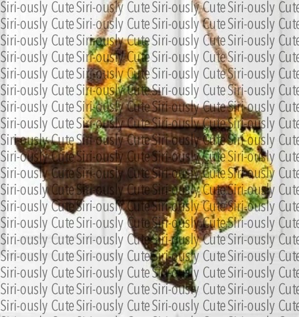 Texas Wood And Sunflowers