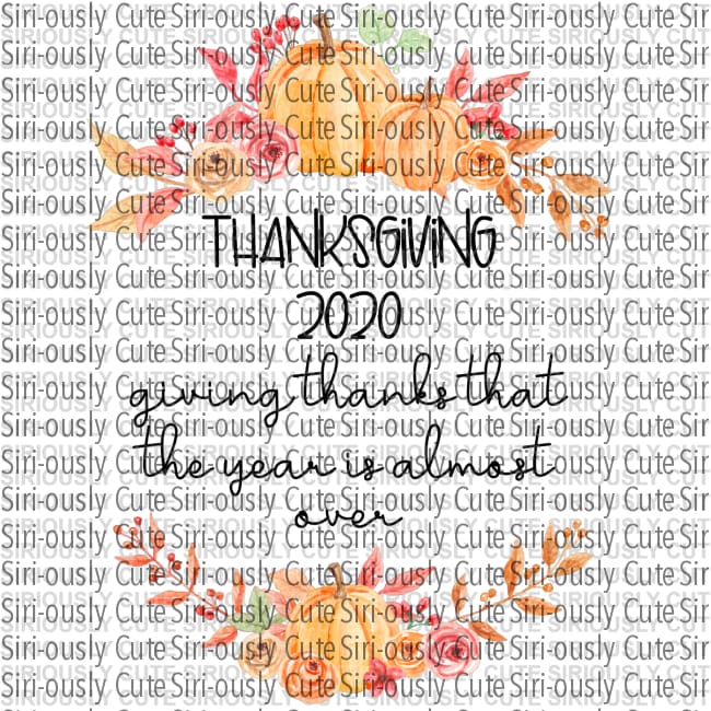 Thanksgiving 2020 - Giving Thanks That The Year Is Almost Over