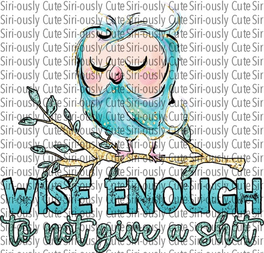 Wise Enough To Not Give A Shit - Blue Owl